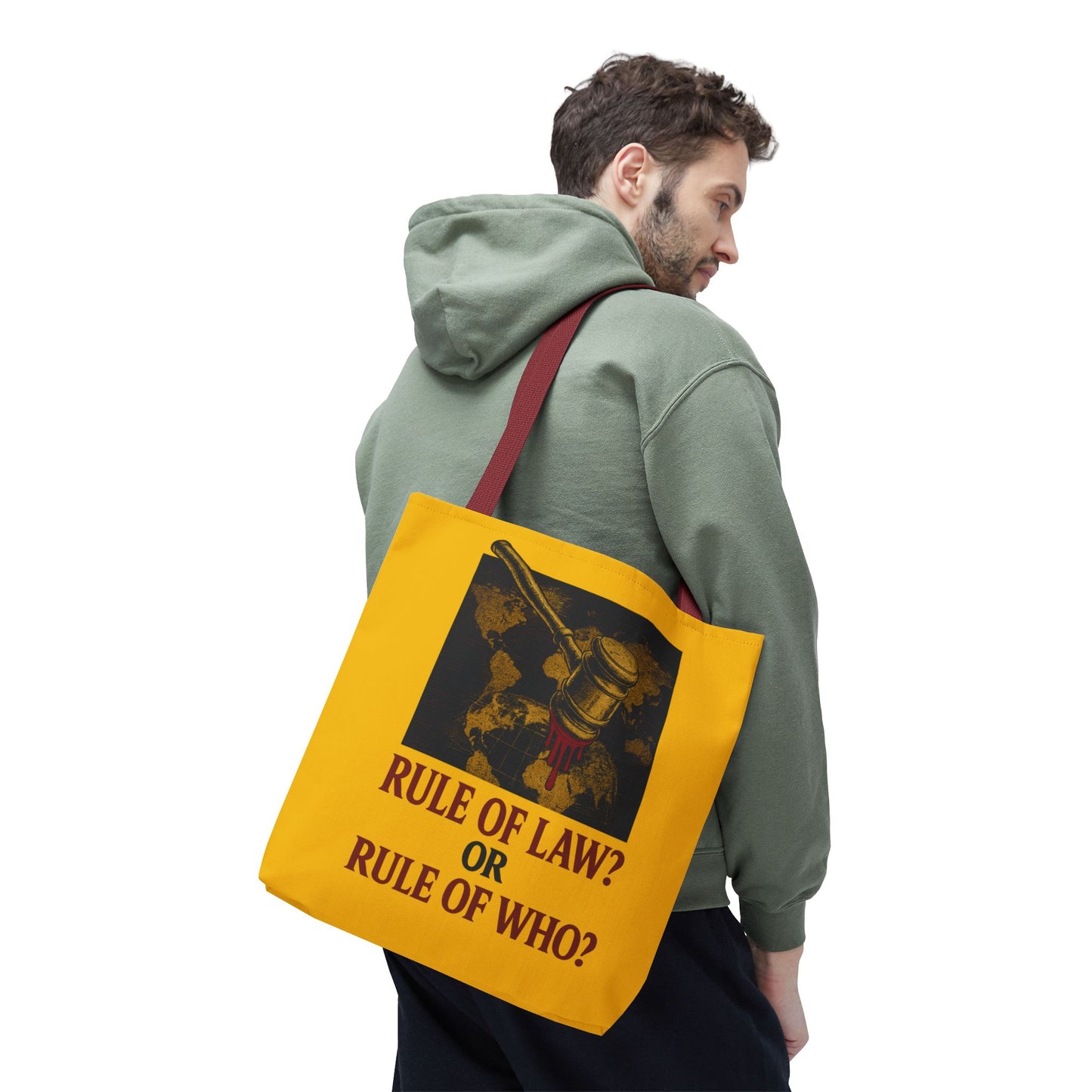 Rule of Law? Or Rule of Who? – Carry the Truth