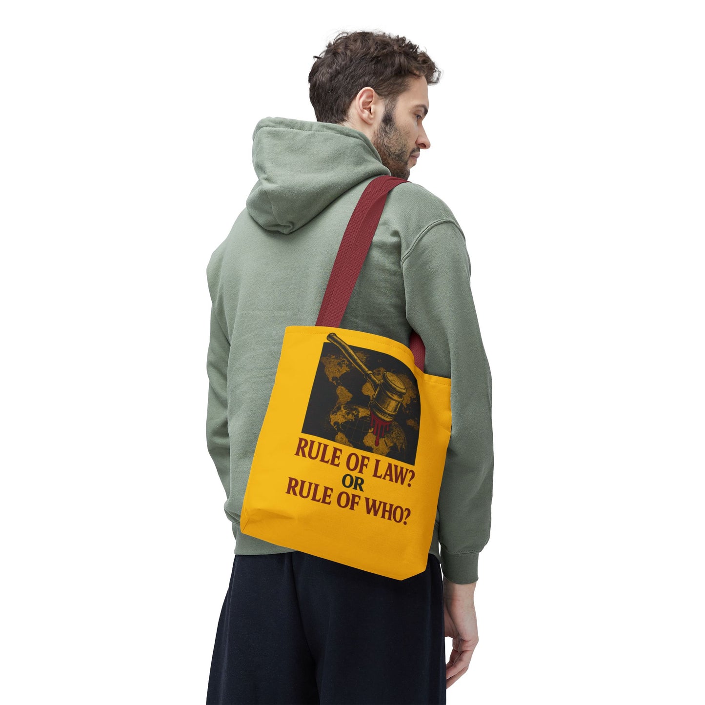 Rule of Law? Or Rule of Who? – Carry the Truth